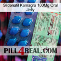 Sildenafil Kamagra 100Mg Oral Jelly new02